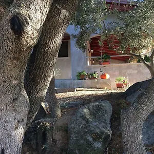 S'umbra De S'ozzastru Vakantiehuis